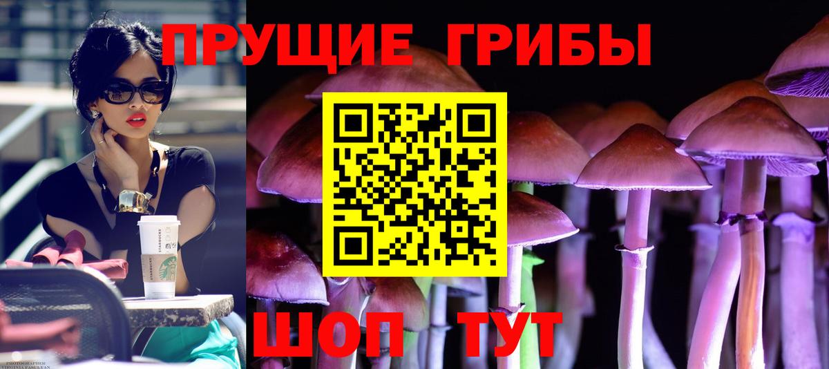 Троицк  Галлюциногенные грибы Magic Shrooms  Вход с VPN  Галлюциногенные грибы Cubensis 